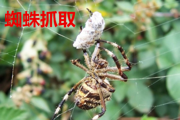  pp电子：浅谈企业对于营销型网站建设存在的四个误解